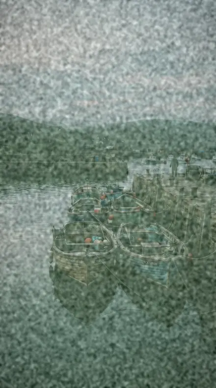 Backing Paper applied to Cool fade, the harbour at dawn
