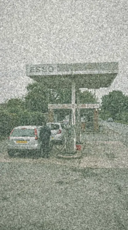 Moss Tint applied to Old stock, the forecourt gone green