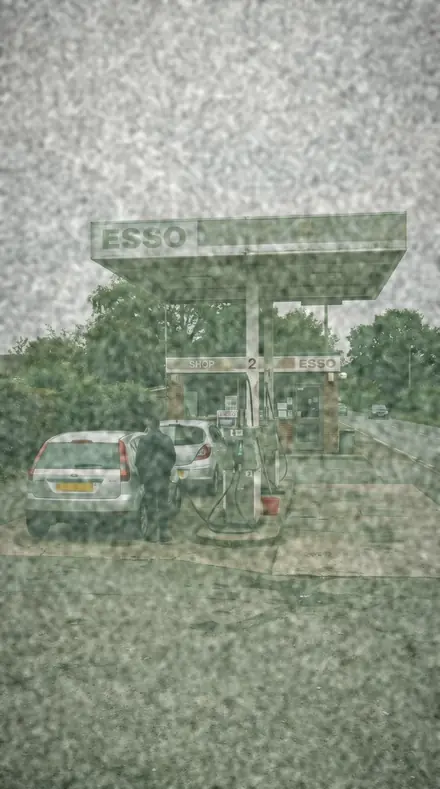 Lichen Patch applied to Old stock, the forecourt gone green